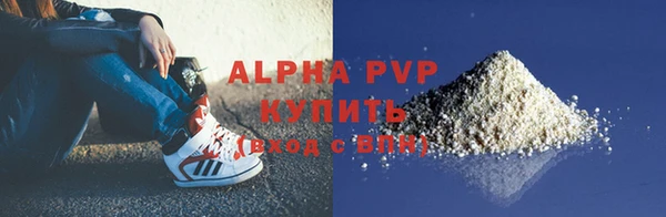 тгк Горно-Алтайск