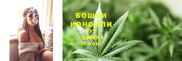 тгк Горно-Алтайск
