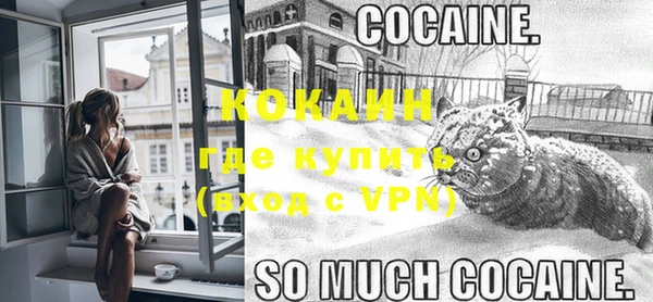 тгк Горно-Алтайск
