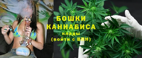 тгк Горно-Алтайск