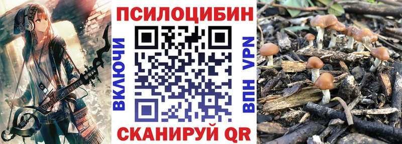 Галлюциногенные грибы Cubensis  mega онион  Мурманск 